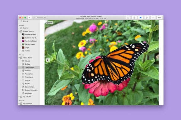 Image for article: How to Duplicate a Photo or Video on Mac