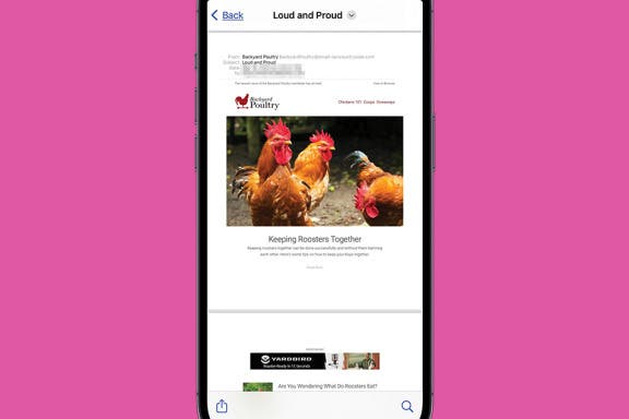 Image for article: How to Save an Email as a PDF on Your iPhone & iPad