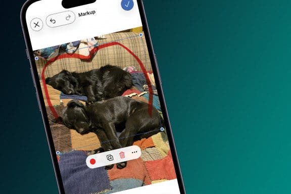 Image for How to Remove Markup from a Photo on an iPhone & iPad