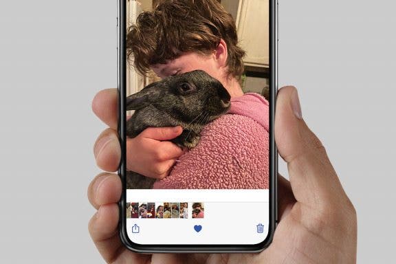 Image for article: How to Favorite Your Photos & Easily Find Them on iPhone