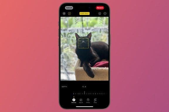 Image for article: Change the Focus Point of Portrait Photos
