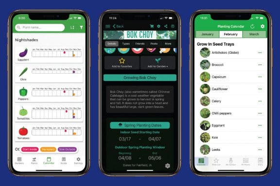 Image for article: 3 Best Garden Planner Apps