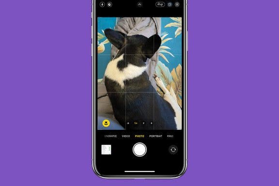Image for article: How to Add a Grid on Your iPhone Camera for Better Photos