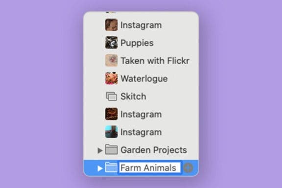 Image for article: How to Group Albums in Folders on a Mac