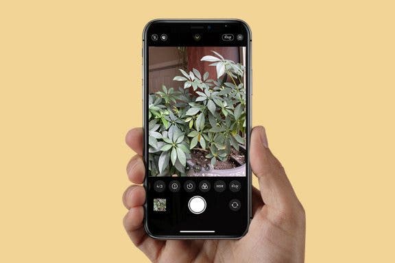 Image for article: What Is HDR & How to Use It on Your iPhone Camera