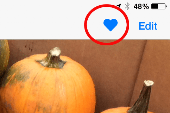 Image for article: Tip of the Day: Quickly Create an Album of Your Favorite Photos
