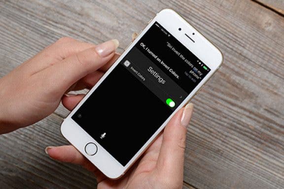 Image for article: How to Invert Colors with Siri on iPhone
