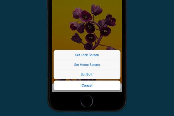Image for article: How to Use One of the New iOS 11 Wallpapers on iPhone