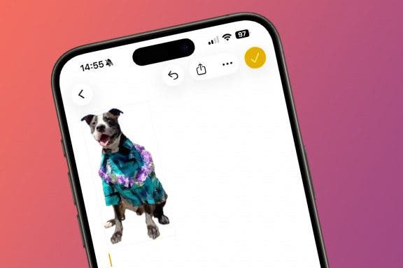 Image for How to Lift the Subject of a Photo Without Saving It