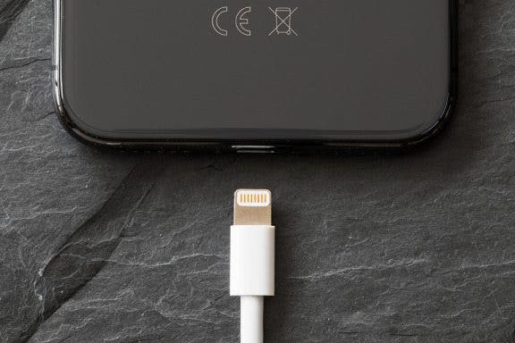 Image for article: What Is a Lightning Cable & What Does It Do?