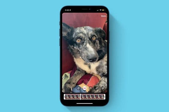 Image for article: Live Photos: The Complete Guide to iPhone Live Images