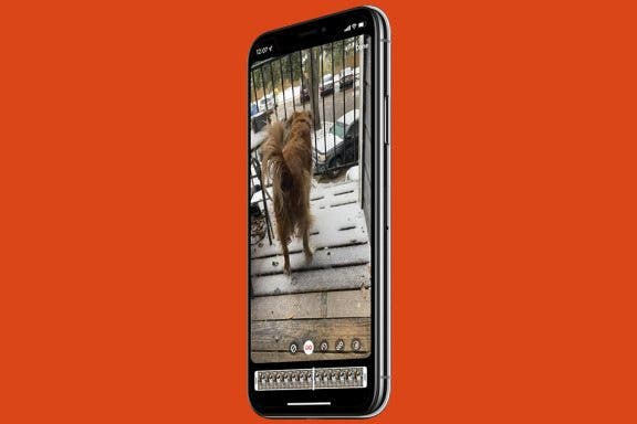Image for article: How to Post a Live Photo on Instagram from iPhone