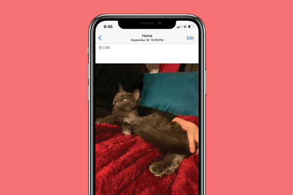 Image for article: Why Is Location Search Not Working in Photos on iPhone?