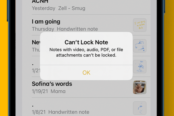 Image for article: Why Can't I Lock Notes on My iPhone?