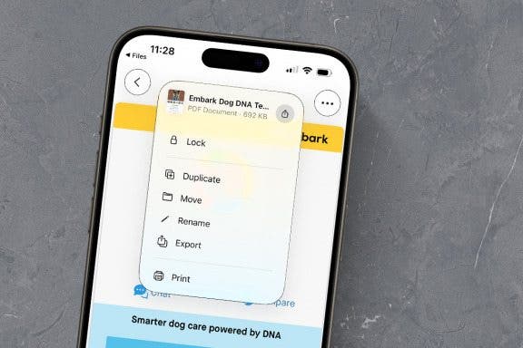 Image for article: How to Hide Files & Find Hidden Files on an iPhone or iPad