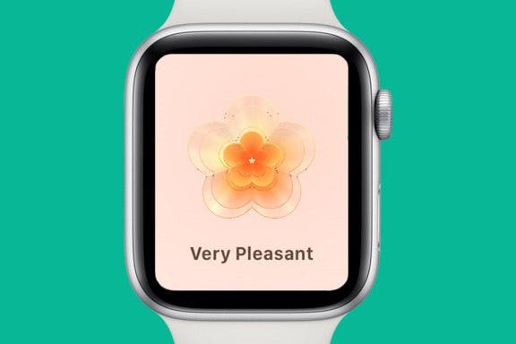 Image for article: How to Log Your State of Mind on Apple Watch