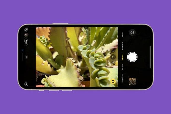 Image for article: iPhone 13 Macro Photography Guide & Macro Settings