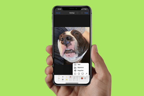 Image for article: Coolest Ways to Use Markup on iPhone to Edit Photos and PDFs