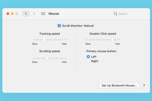 Image for article: How to Change Scroll Direction on Mac: External Mouse