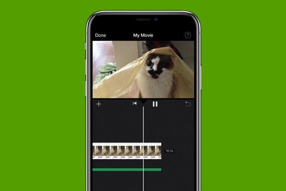 Image for article: How to Add Music to a Video on iPhone (2 Free Ways)