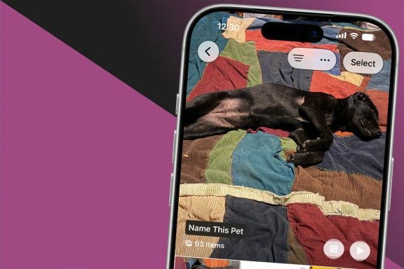 Image for article: Fixed: People Album Won’t Recognize Pictures of Pets