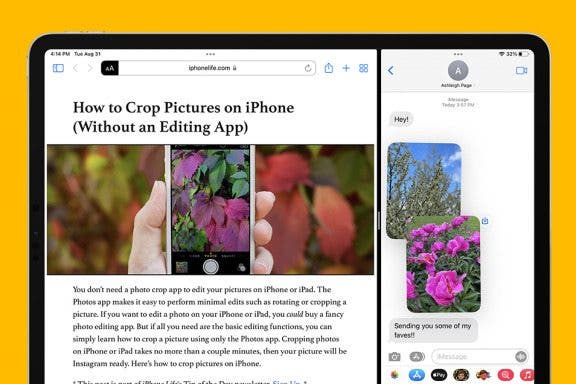 Image for article: How to Open a Notification in Split View on iPad