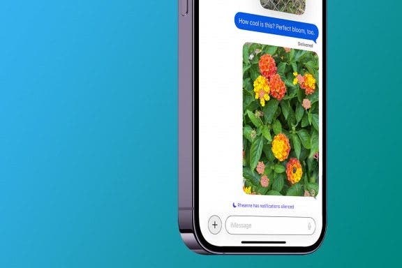 Image for article: What Does Notifications Silenced Mean?