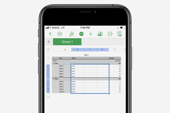 Image for article: How to Format Tables in the Numbers App on the iPhone & iPad