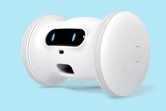 Image for article: Review: Pet Fitness Robot from Varram