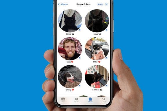 Image for article: How to Tag Cats & Dogs in the iPhone Photos App