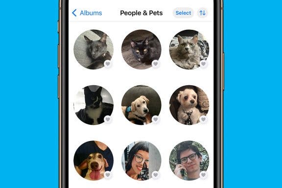 Image for article: Fixed: People Album Won’t Recognize Pictures of Pets