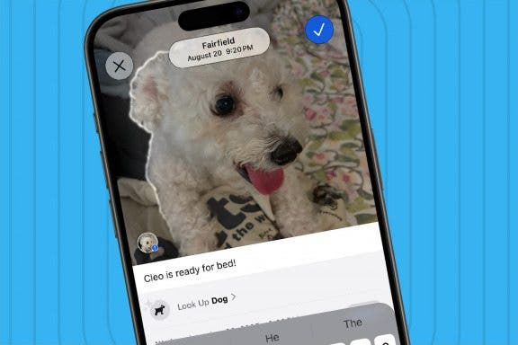 Image for article: How to Add a Caption to a Photo on iPhone & iPad