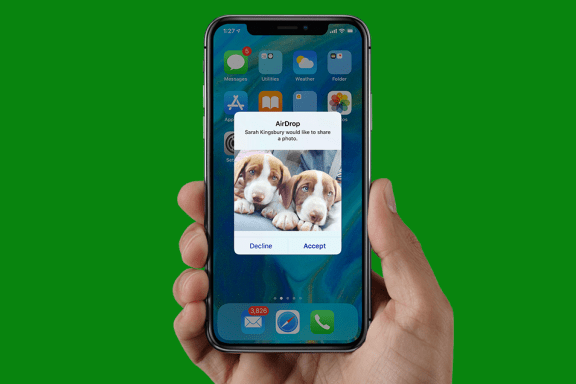 Image for article: iPhone Photo Saving & Sharing: Text, Email, AirDrop, Shared Albums & Social Media