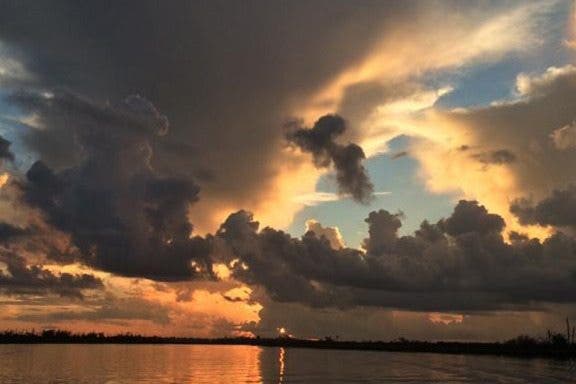 Image for article: iPhone Photography Tips: How to Use Lighting to Take More Creative Pictures