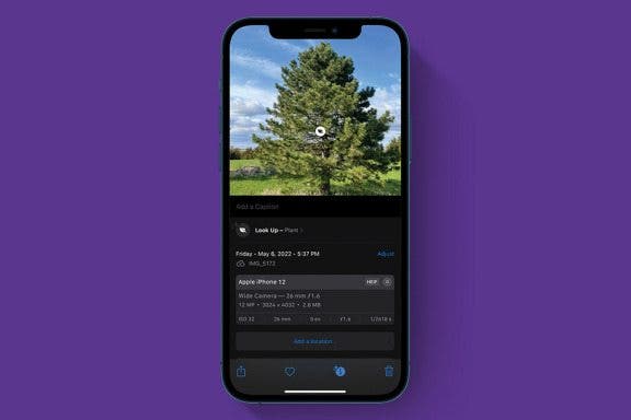 Image for article: How to Identify Plants with the iPhone Photos App