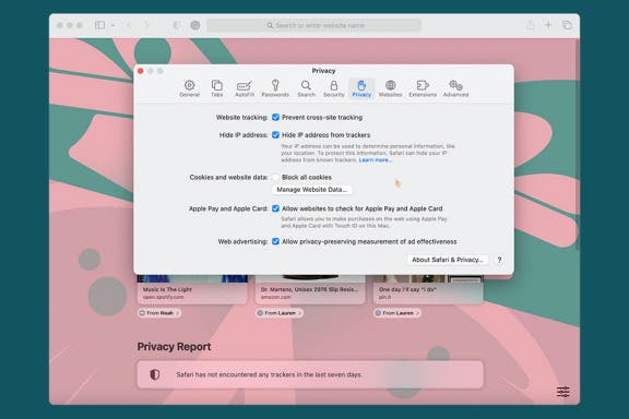 Image for article: How to Clear & Enable Cookies in Safari on Your Mac