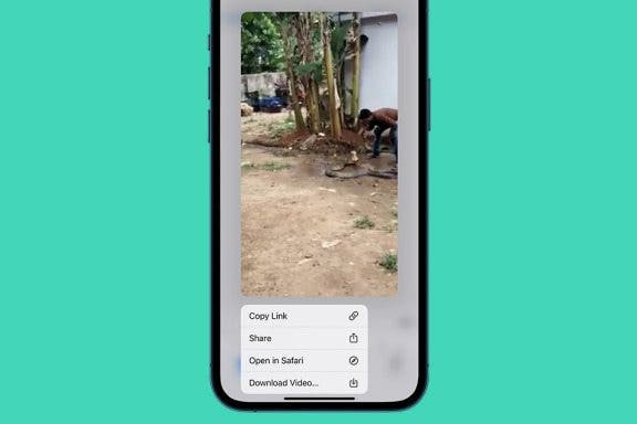 Image for article: How to Save Reddit GIFs on an iPhone: The Quickest Way