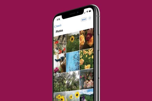 Image for article: How to Search Pictures on iPhone & iPad by Object