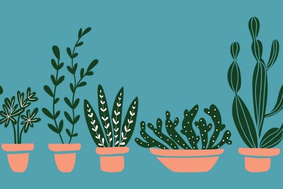 Image for article: Smart Plants: The Best Gardening Tools for the Techie Horticulturist