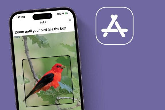 Image for article: iPhone Life's Best Staff & Reader Picks Apps (2025)