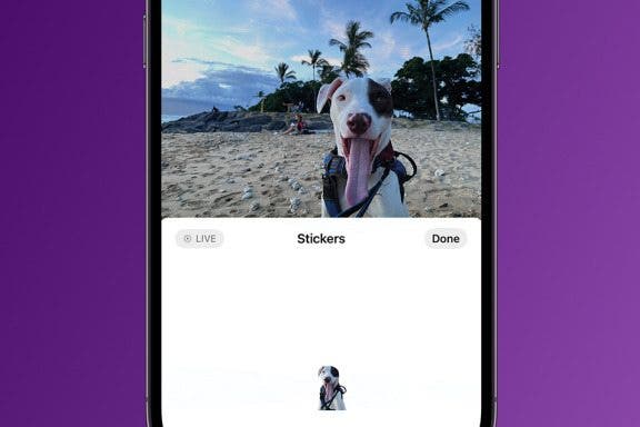 Image for article: How to Take the Best Live Custom Photo Stickers