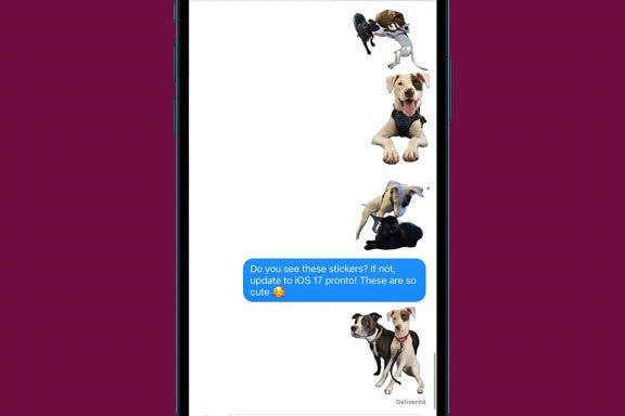 Image for article: How to Fix Live Stickers Not Working on iPhone