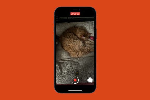 Image for article: How to Take a Still Photo While Shooting Video on an iPhone