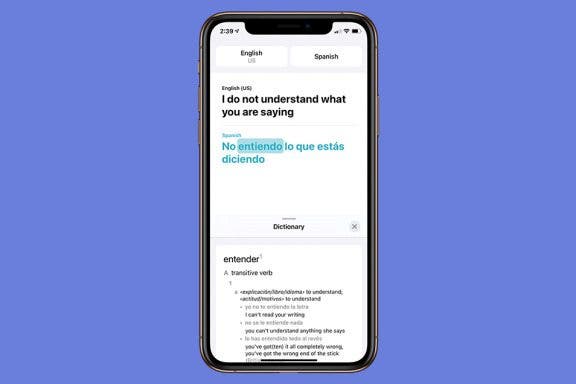 Image for article: 5 Ways to Use the Apple Translate App for Voice, Text & Web Content