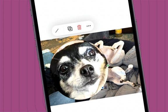 Image for How To Magnify Part of an Image on iPhone