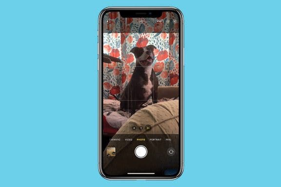 Image for article: Optical Zoom vs. Digital Zoom: iPhone Explained