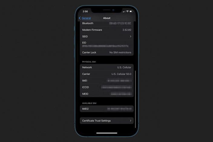 Blacklisted iPhone? Why Does IMEI Get Blocked & How to Fix It
