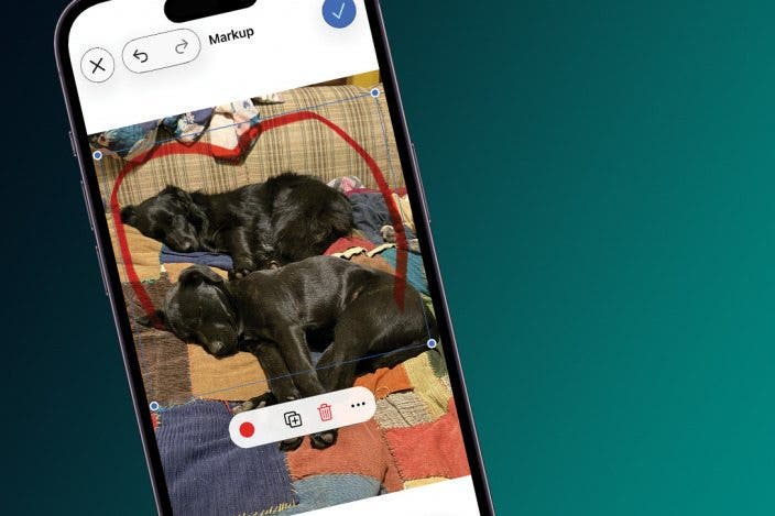How to Remove Markup from a Photo on an iPhone & iPad