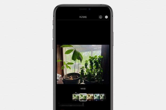 How to Add Filters to Live Photos on iPhone