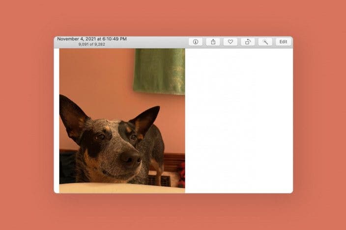 How to Put a Filter on a Photo or Video on Mac